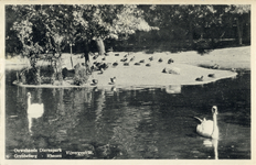 12075 Gezicht op de vijver van Ouwehands Dierenpark aan de Grebbeweg te Rhenen, met eenden en enkele zwanen.